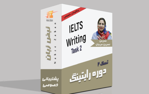 ielts writing task2private